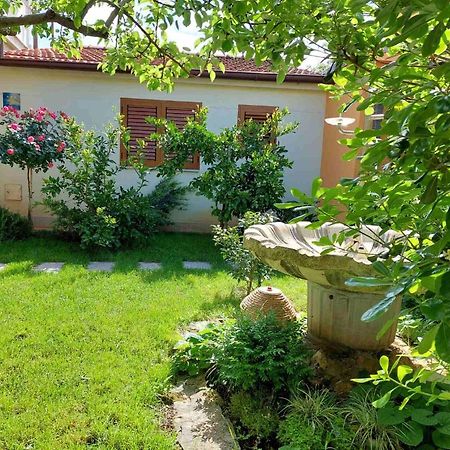Adriatic Apartments Nada Fažana Kültér fotó