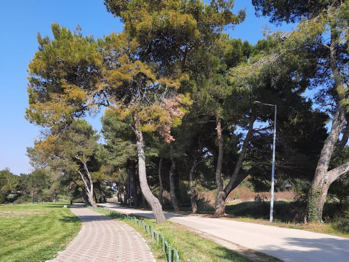 Adriatic Apartments Nada Fažana Kültér fotó
